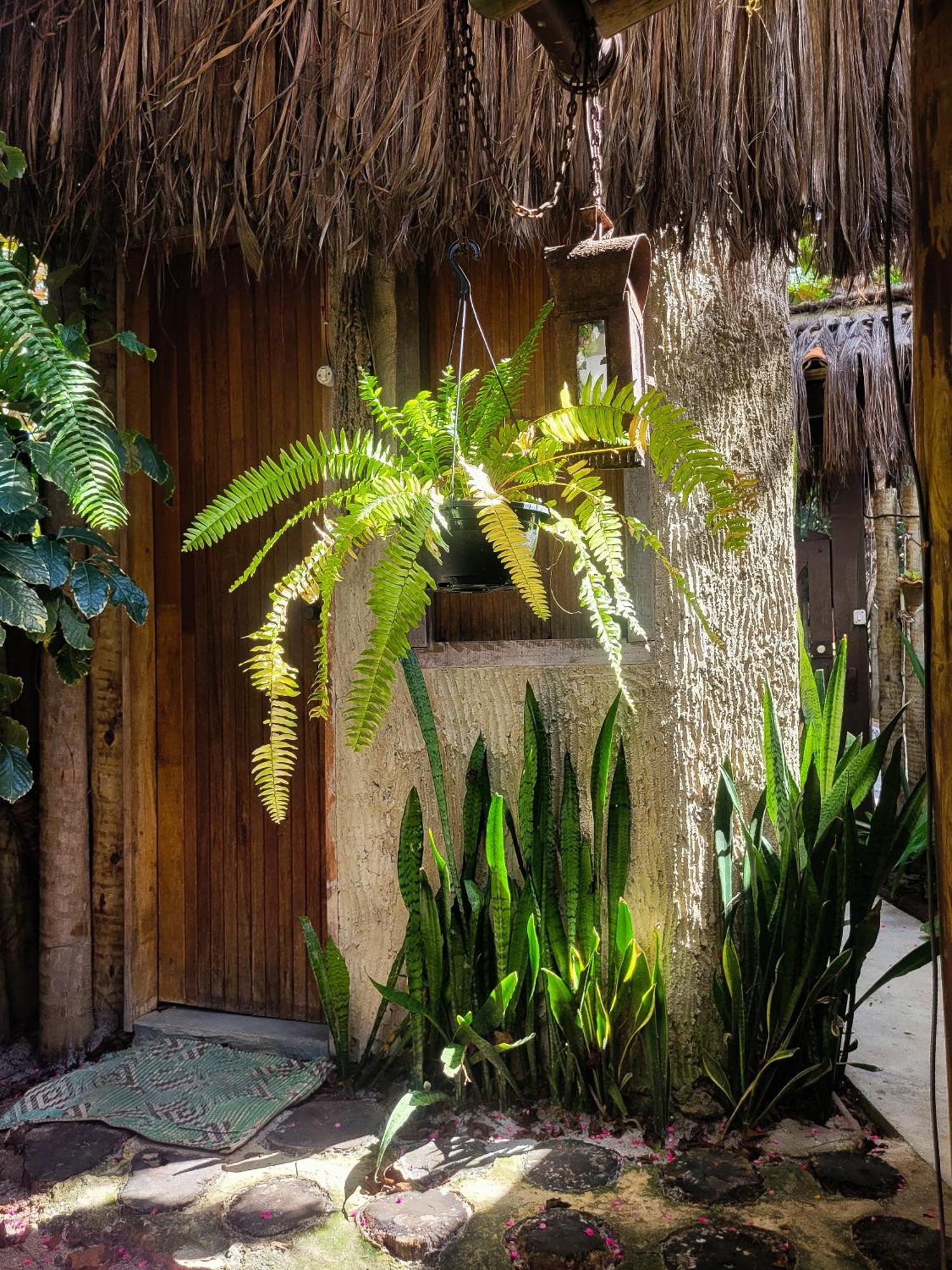 Pousada Raiz Forte Caraiva Luaran gambar