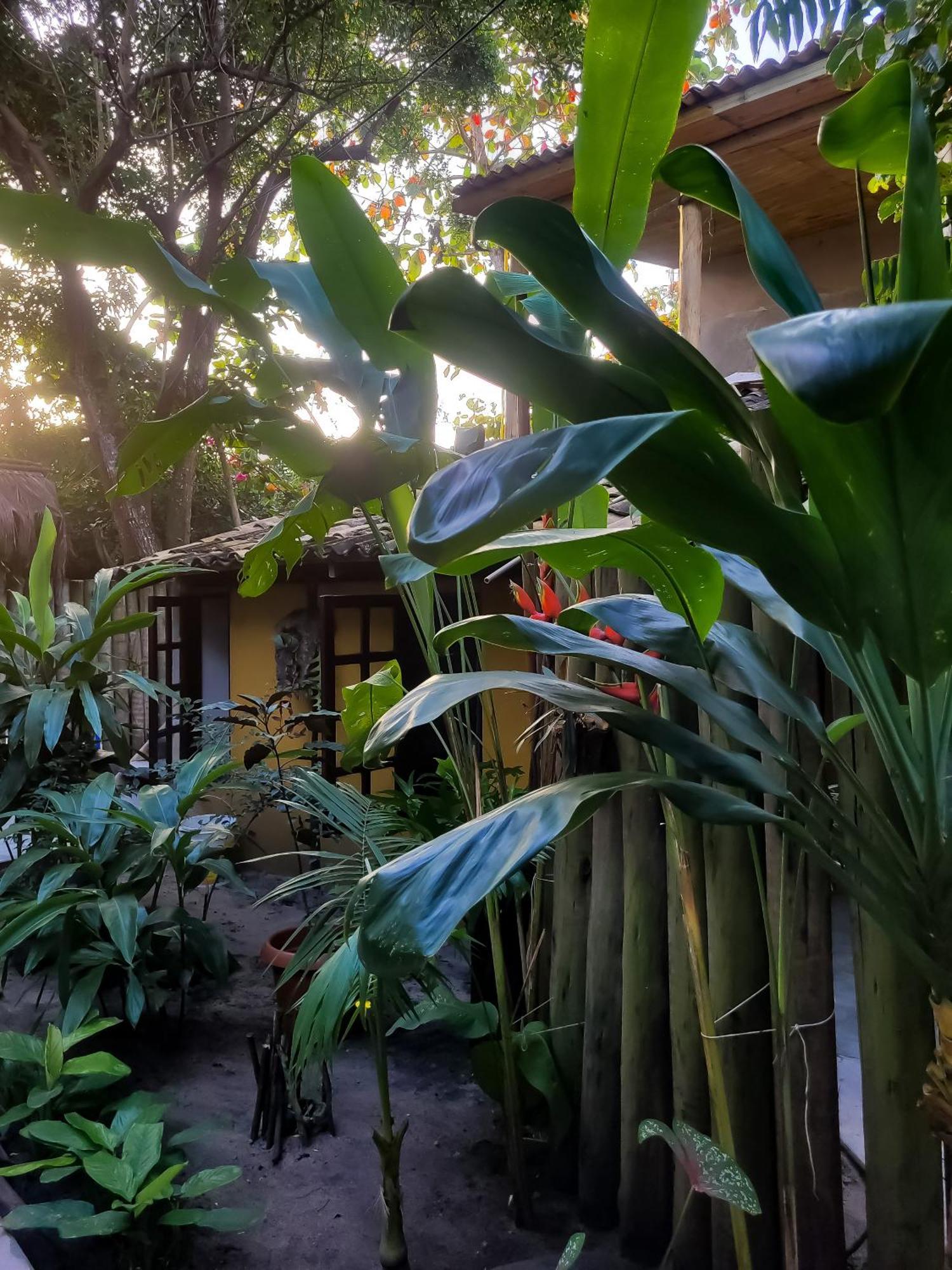 Pousada Raiz Forte Caraiva Luaran gambar